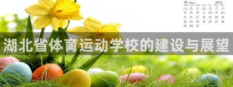 vsport体育官方正版app集团简介:湖北省体育运动学校的